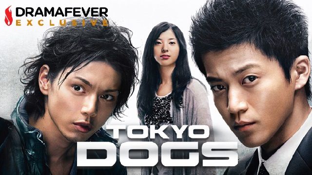 tokyo-dogs