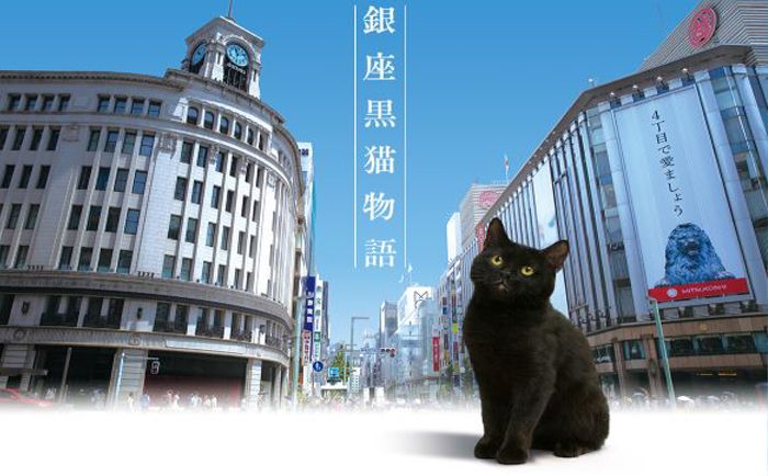 ginza-kuroneko20