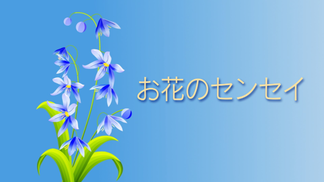 ohana21