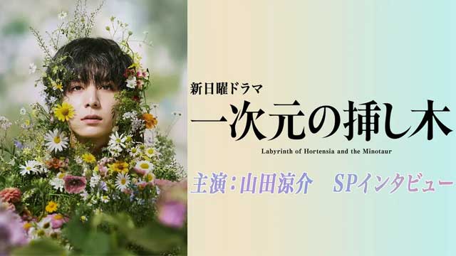 一次元の挿し木　